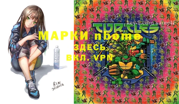 индика Абдулино