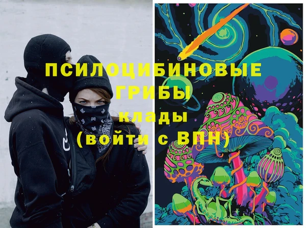 шишки Абинск