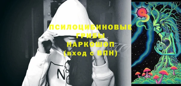 шишки Абинск