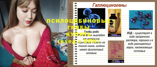 шишки Абинск