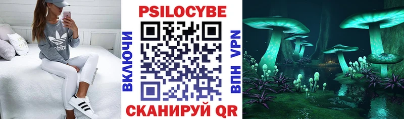 дарнет шоп  Майский  площадка какой сайт  Псилоцибиновые грибы Psilocybe  kraken зеркало 
